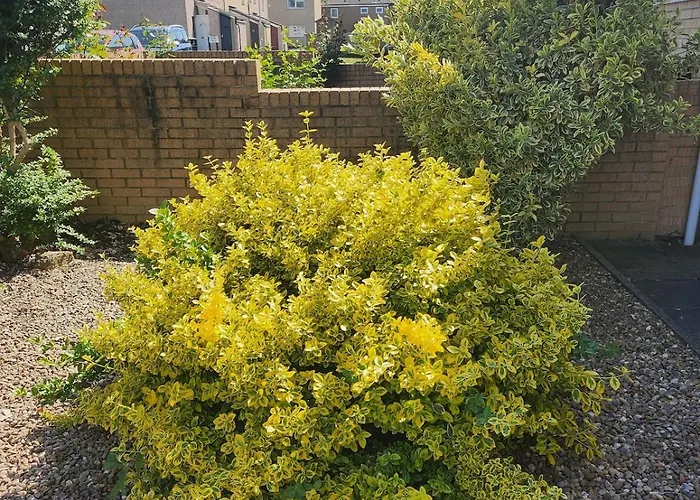 Spacious, 3 Double Bedroomed, Free Parking, 9 Mins Elland Rd, Nr Centre Leeds (West Yorkshire)