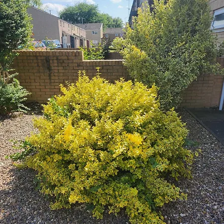 Spacious, 3 Double Bedroomed, Free Parking, 9 Mins Elland Rd, Nr Centre Λιντς